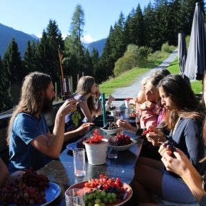 Austria 19.-23.08.2026 — Festivalticket 4 Tage/Days (accommodation paid separately)