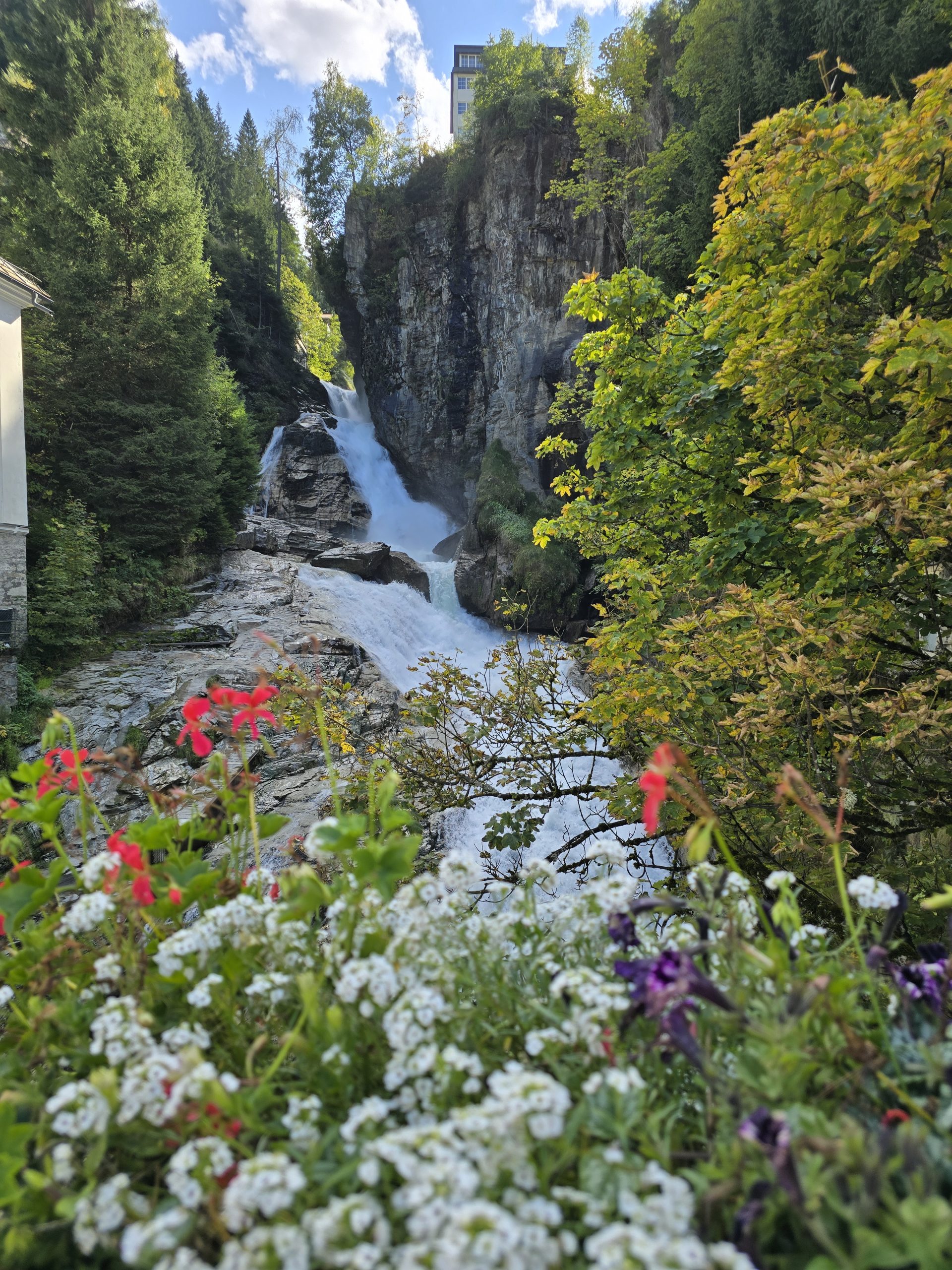 Austria 19.-23.08.2026 — Festivalticket 4 Tage/Days (accommodation paid separately) – Bild 10