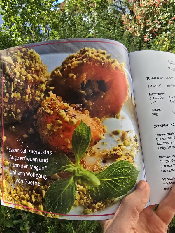 Rohzepte n°3 Rawcipes – Bild 2